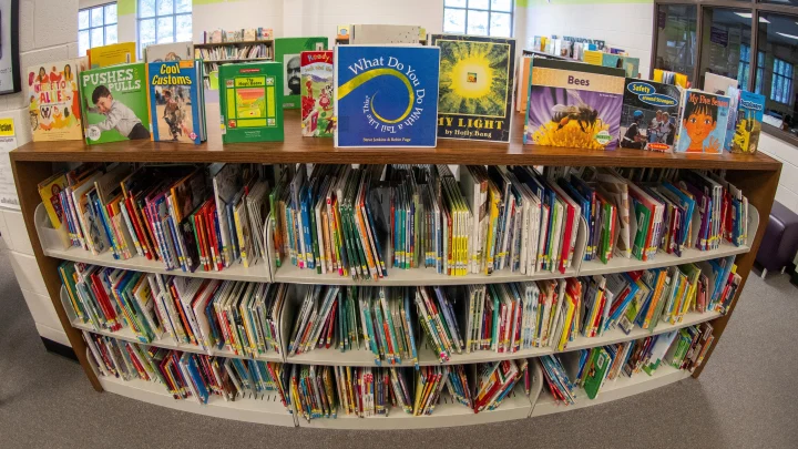 Wokeness is still alive and well in our school libraries