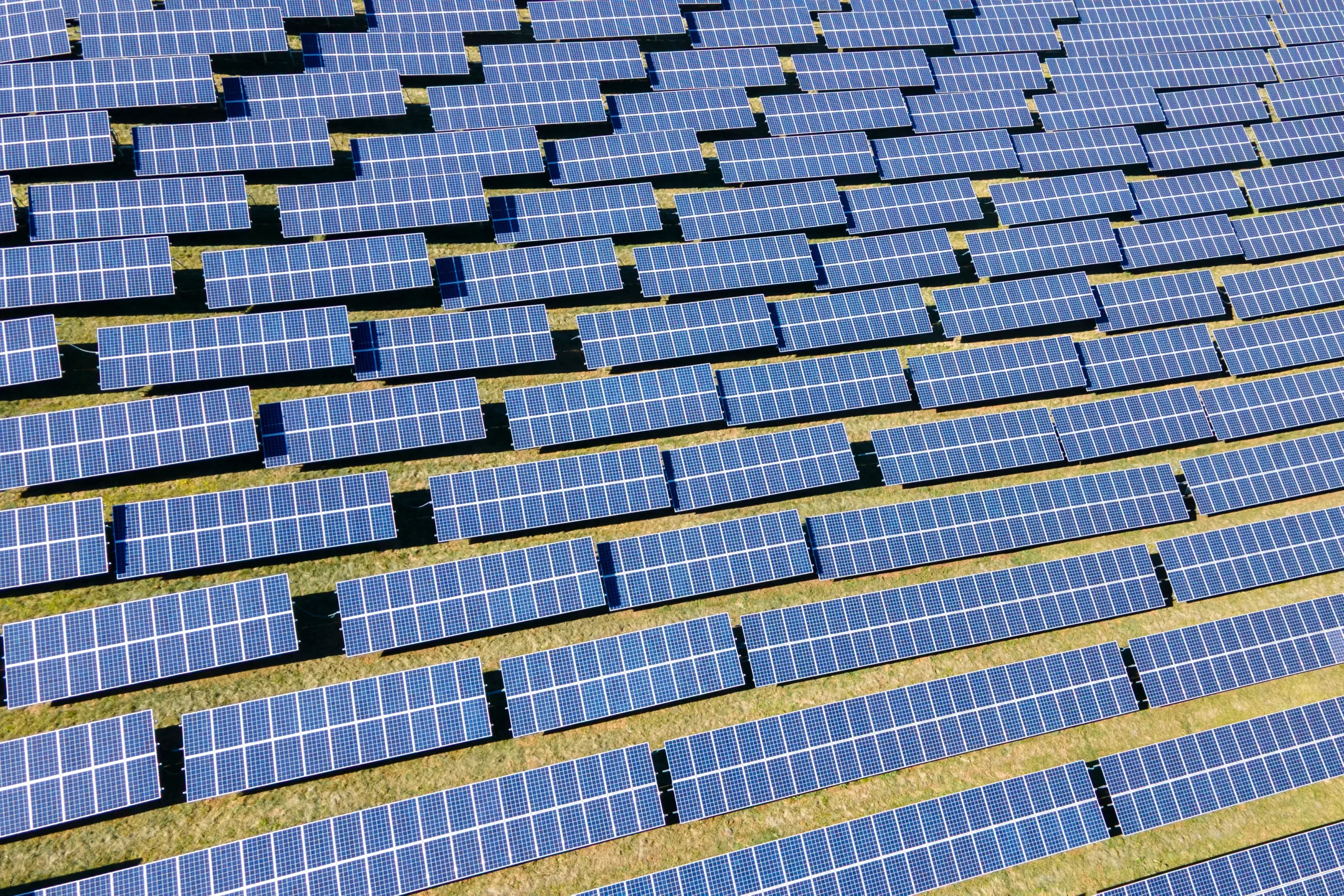 Judge tosses Trump bid to restrict renewable energy tax credits