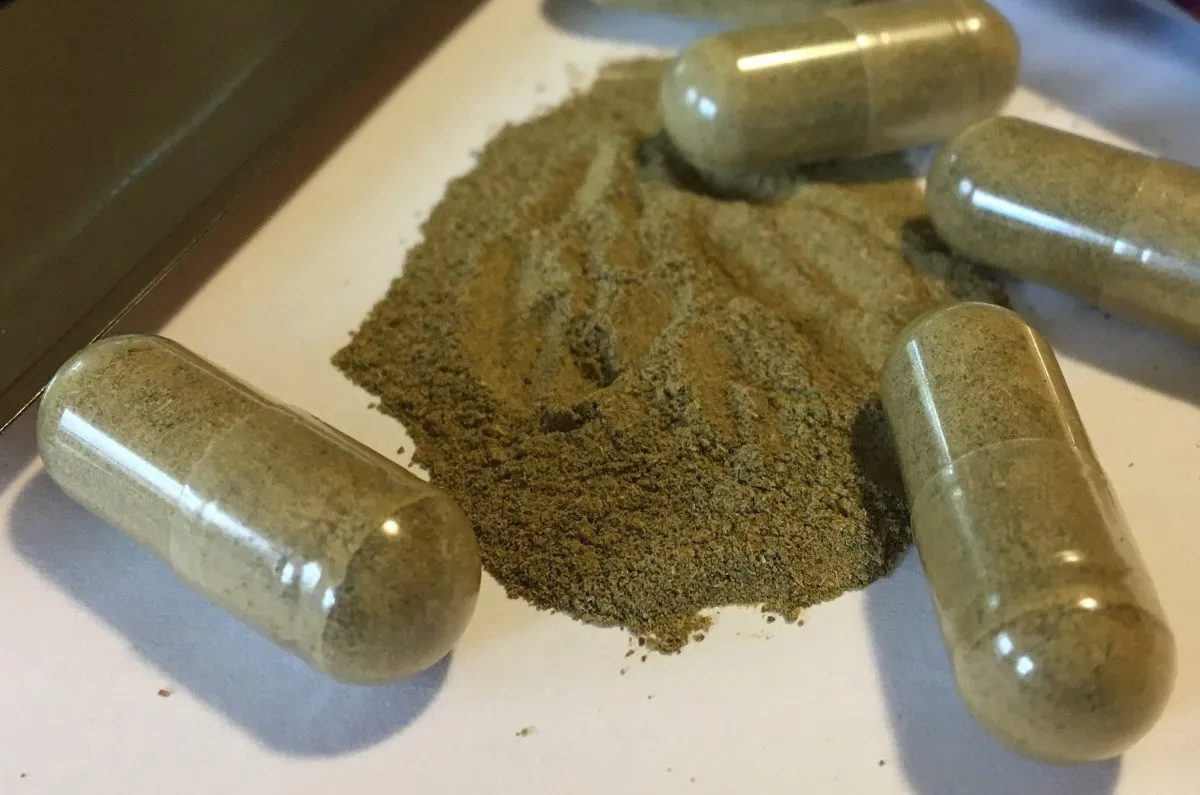 Why 2 more states will soon ban kratom, a potentially addictive herbal product