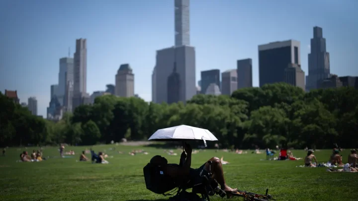 El Niño favored to become one of the strongest ever. Here’s how it may impact weather in every state