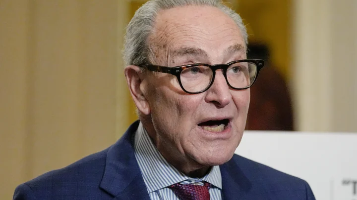 Democrats want control of Congress, but what will they actually do with it?