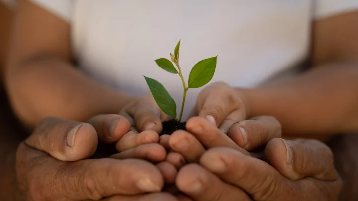 We are betraying our children with fossil fuel pollution