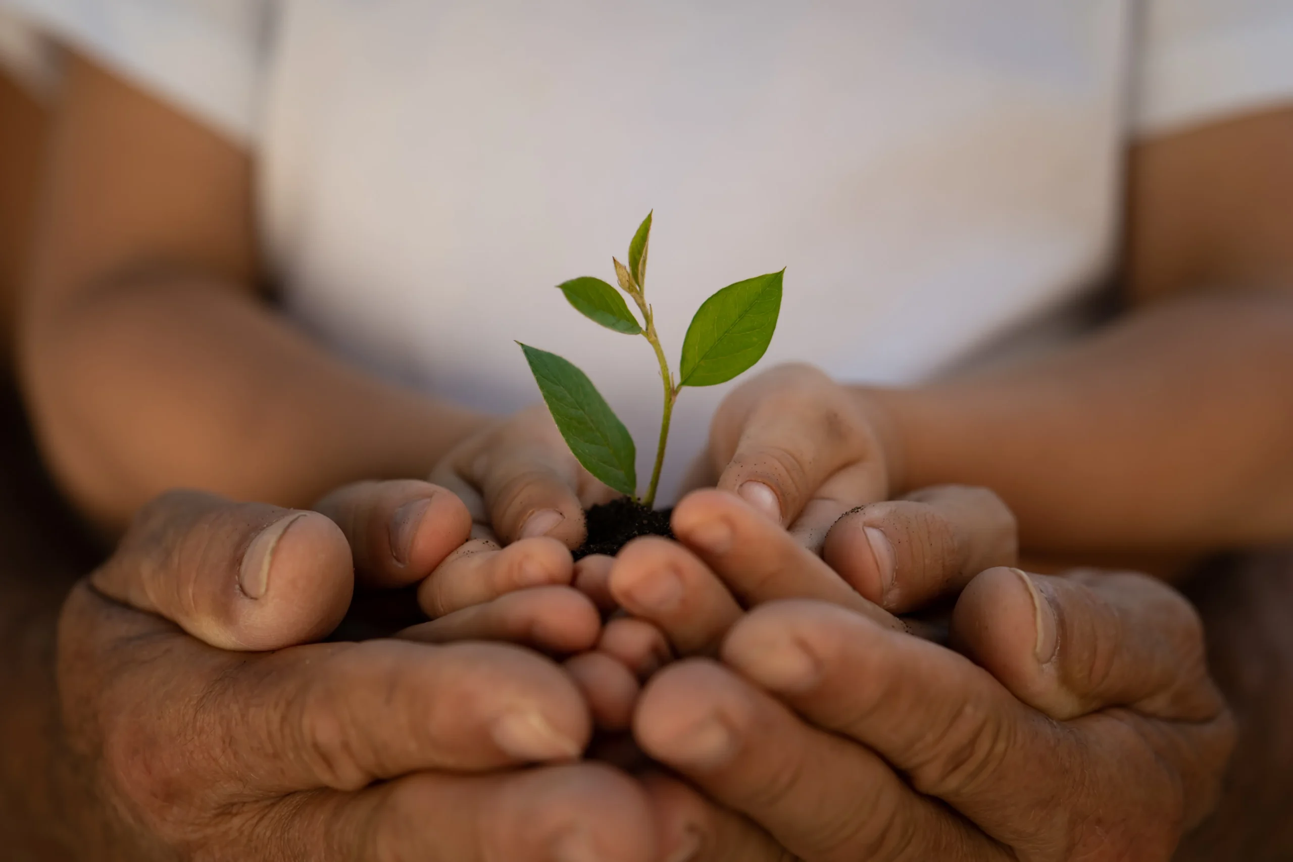 We are betraying our children with fossil fuel pollution