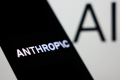 What to know about the Anthropic models takedown
