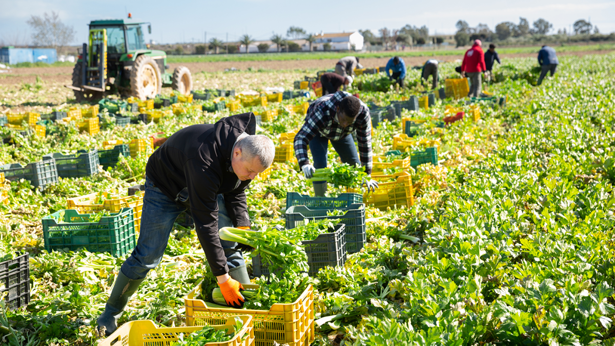 Farm-bill_092824_AdobeStock