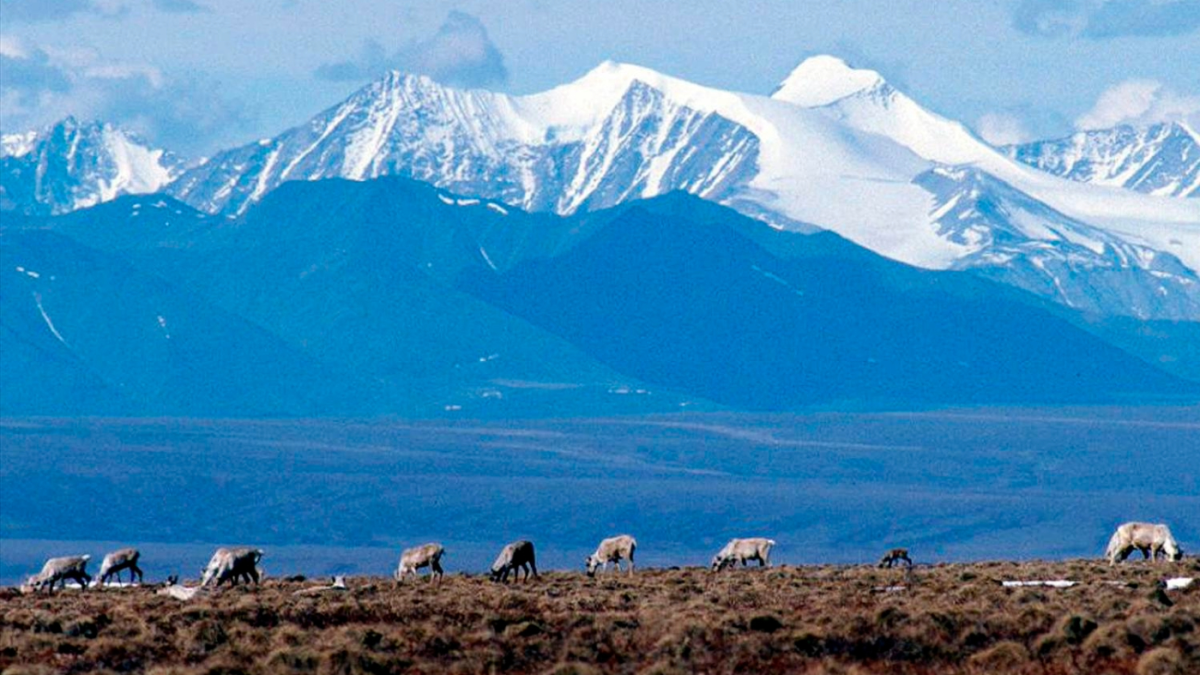 arctic_refuge_08192021_AP24344716823434-1