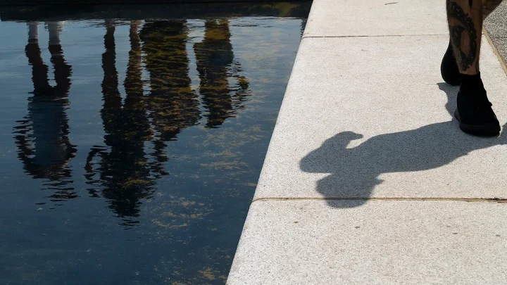 Trump: Reflecting Pool will be drained after July 4; algae ‘criminally made’
