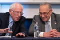 Schumer vs. Sanders: a fight for the Democratic Party’s identity