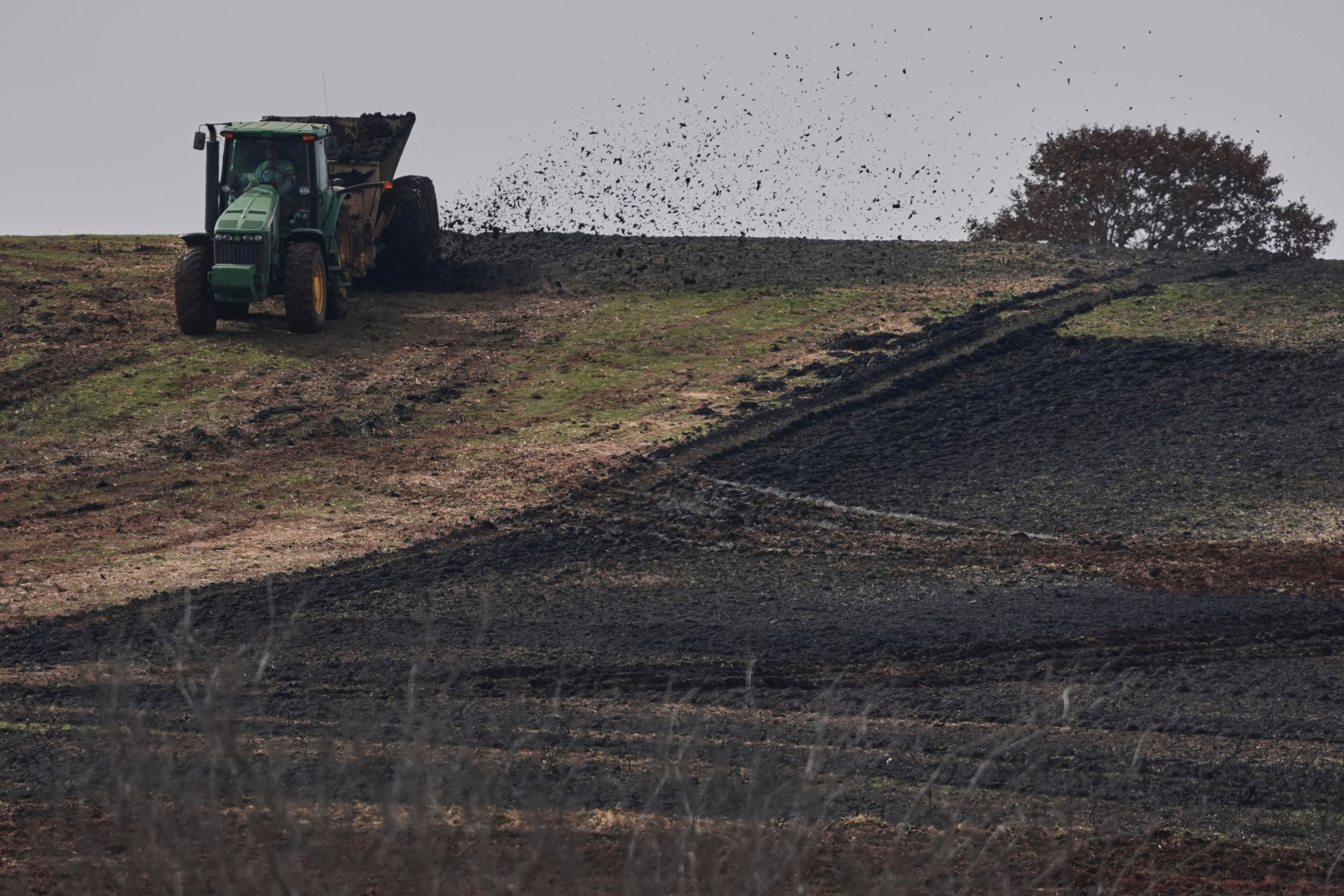 Trump EPA departs from Biden-era report detailing cancer risk from ‘forever chemical’ contaminated farms