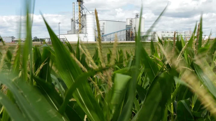 Biofuels: Powering America’s agricultural future