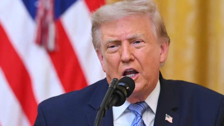 Trump mulling military strikes on Mali militant group: Report