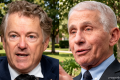Fauci to face Rand Paul in Senate hearing next week