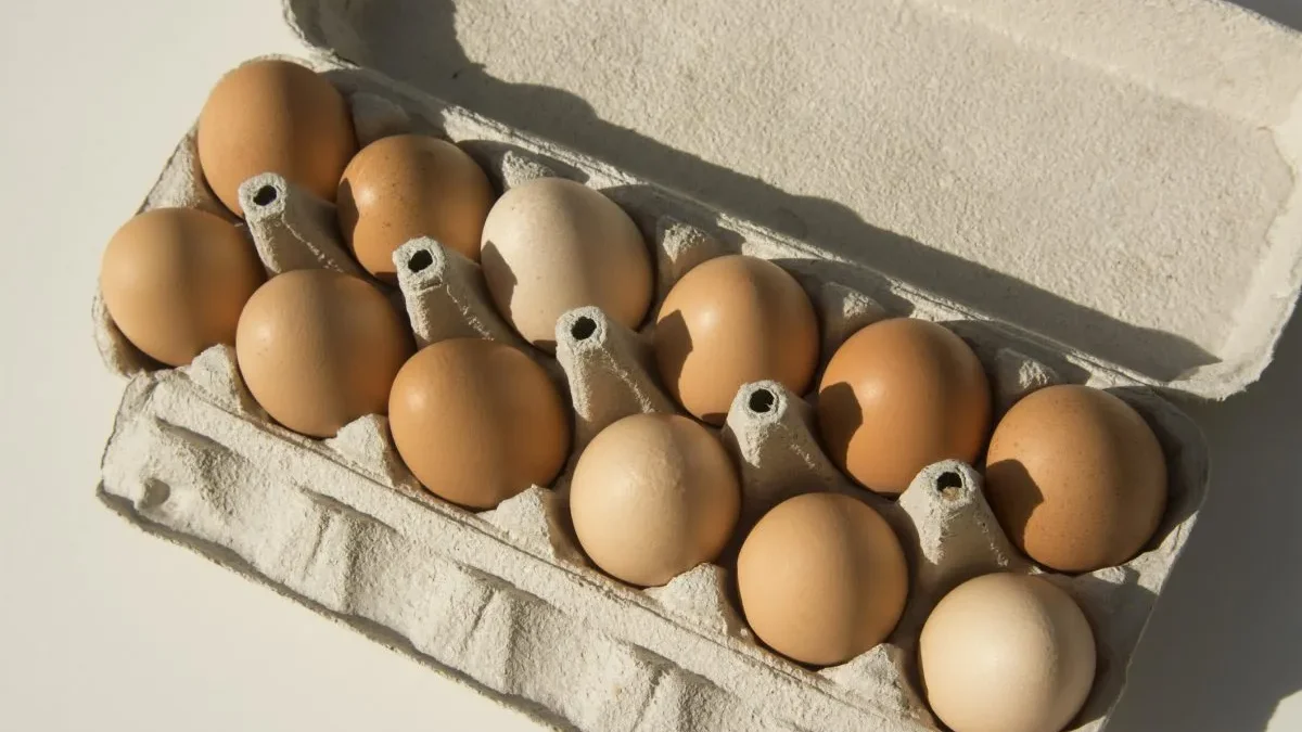 EggsGettyImages-1441851398-e1786717868328