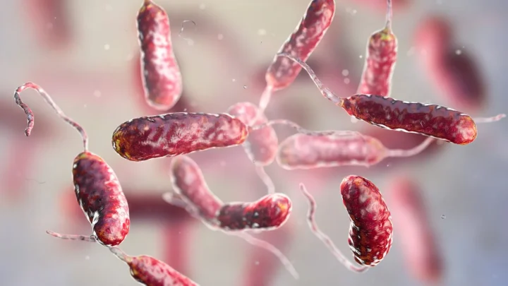 Why are flesh-eating bacteria expanding beyond traditional hotspots?