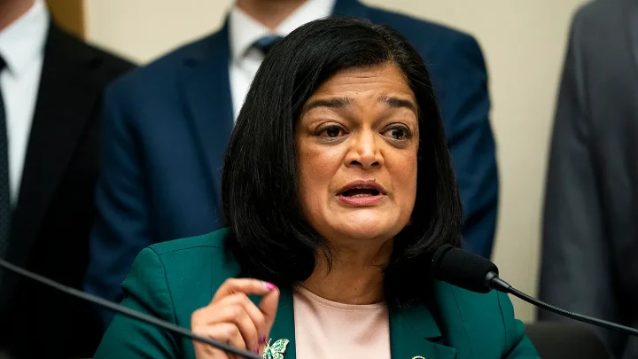 ICE alleges House Democrats ‘disrupted operations’ at Georgia detention center