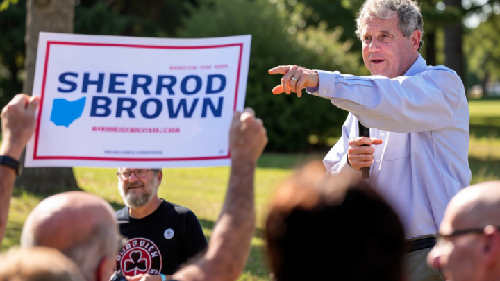Brown, Acton hold slim leads over Husted, Ramaswamy in key Ohio races: Poll