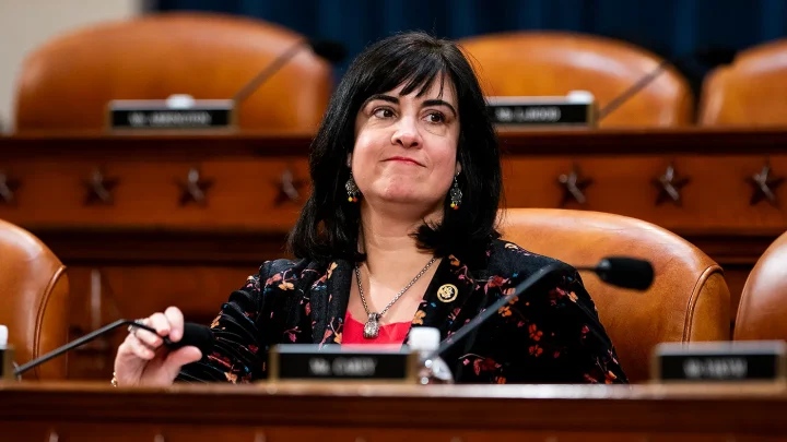 New York Republican: DSA candidates will make up ‘commie caucus’ if elected to Congress