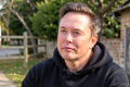 Musk’s America PAC spends about $800K in key midterm races